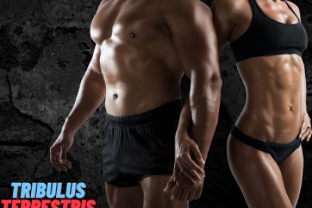 БАБИНИ ЗЪБИ, ПОЛЗИ ОТ УПОТРЕБАТА НА ТРИБУЛУС